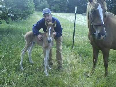 A breeder with a foal and mare representing living preservation work